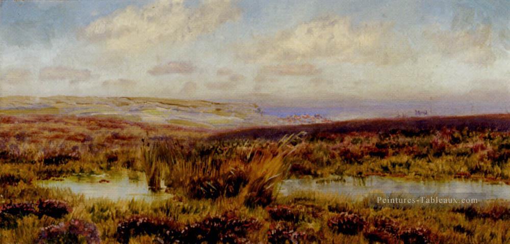 Fylingdales Moor paysage Rivière Brett John Peintures à l'huile